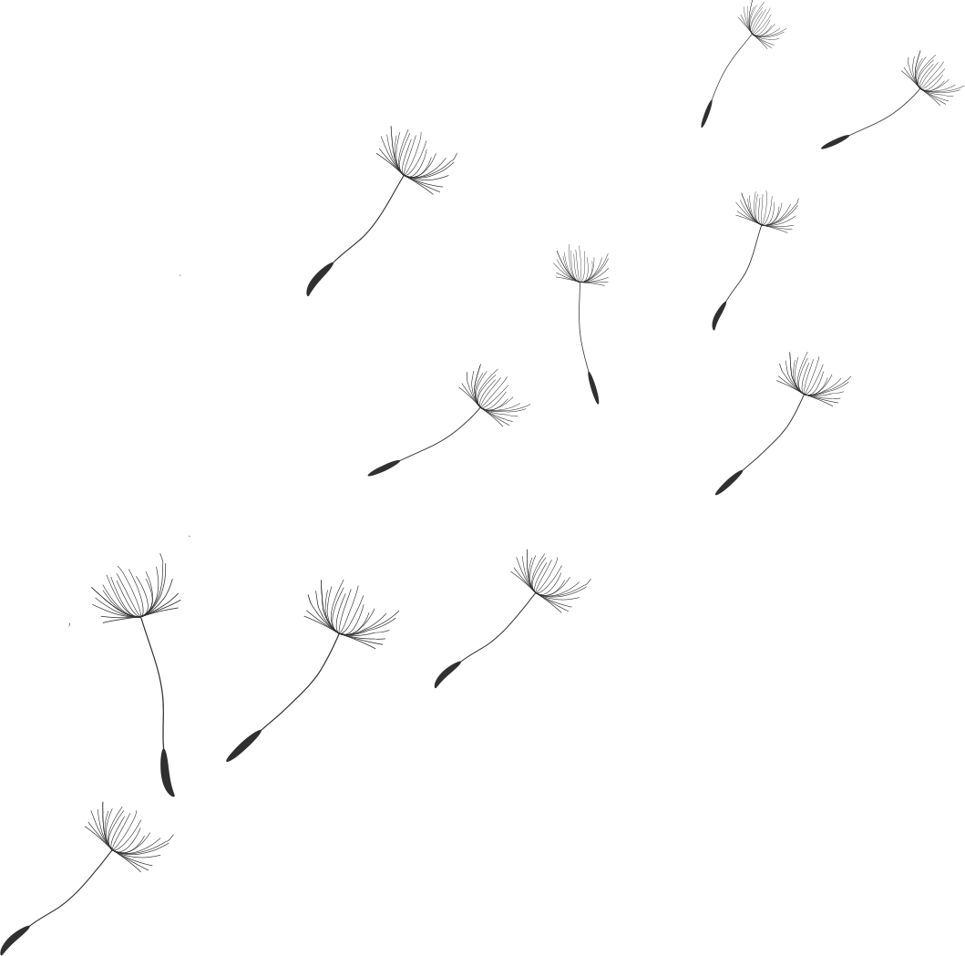 pusteblumen
