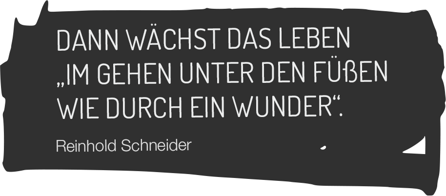 schneider